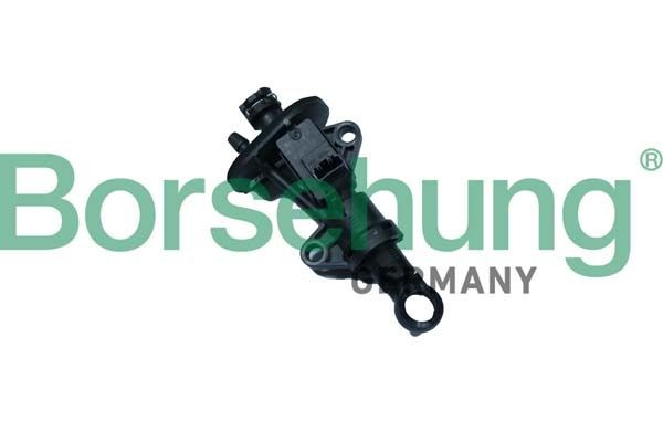 Borsehung B17870 Volkswagen GOLF 2018 Clutch main cylinder