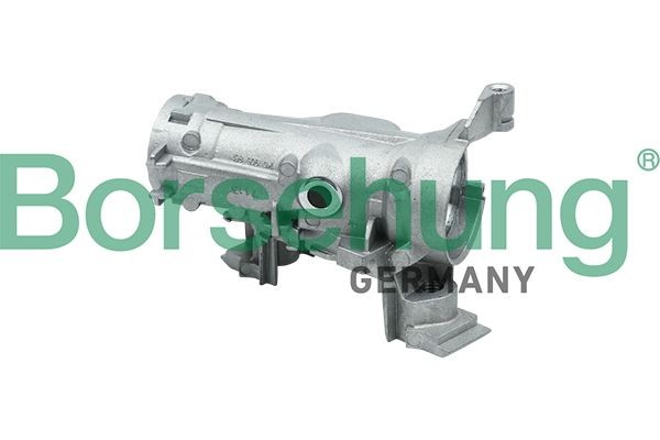 Borsehung B17984 Ignition barrel Polo 6R 1.2 TSI 110 hp Petrol 2022 price