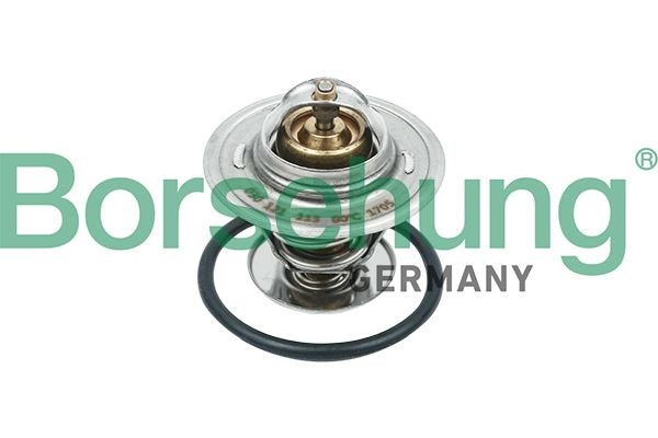 Borsehung B18234 Thermostat VW Polo 86c 1.3 76 hp Petrol 1991 price