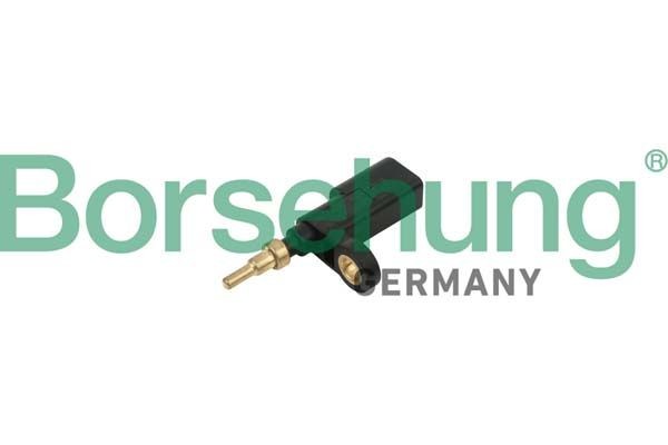 Borsehung B18252 Temperature sensor VW Passat B8 3G Saloon 2.0 TDI 4motion 240 hp Diesel 2019 price