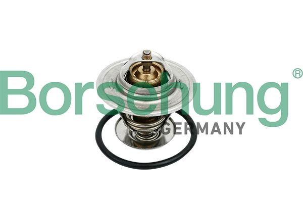 Borsehung B18259 Coolant thermostat Passat B6 Variant 2.0 TDI 140 hp Diesel 2005 price