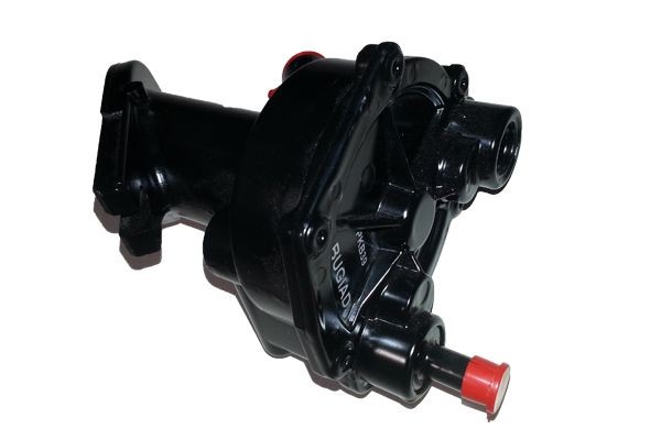 BUGIAD Brake booster vacuum pump BGT00015 buy
