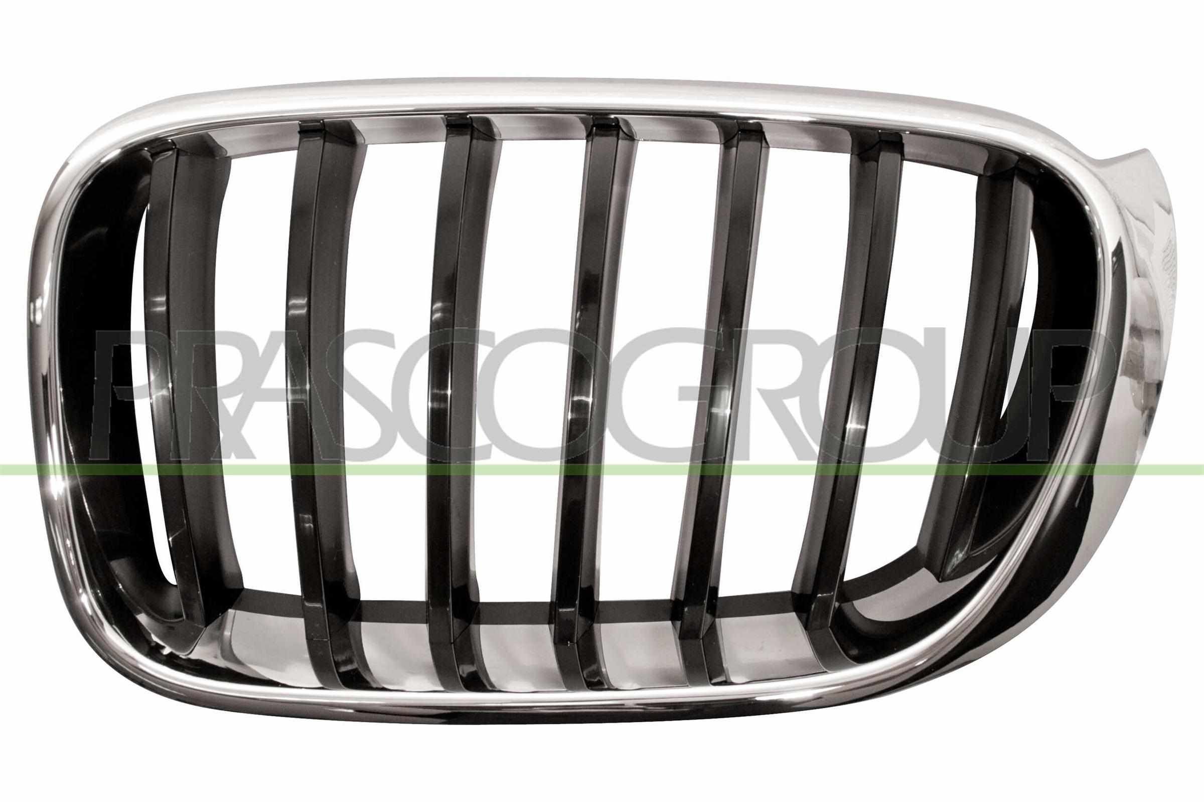 BMW X3 Radiator grille 10782688 PRASCO BM8062004 online buy