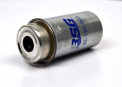 30130003 BSG BSG30-130-003 Fuel filter 2C119176AB