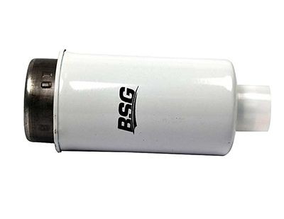 30130010 BSG BSG30-130-010 Fuel filter 4669 224