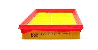 30135024 BSG BSG30-135-024 Air filter 1338 536