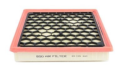 65135021 BSG BSG65-135-021 Air filter 95528305