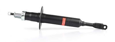 BSG 90-300-012 BSG Vorderachse, Gasdruck, Zweirohr, Dämpfermodul, oben Stift, unten Gabel Stoßdämpfer BSG 90-300-012 günstig kaufen