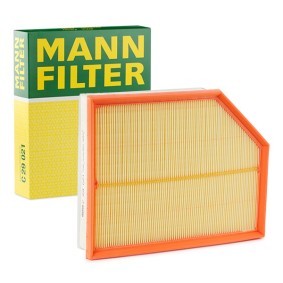Mann Filter C29012 Air Filter 