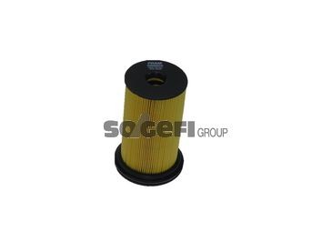 FRAM C8990ECO Fuel filter BMW experience and price