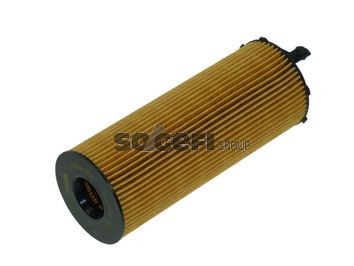 Volkswagen GOLF Engine oil filter 10900070 FRAM CH10636ECO online buy