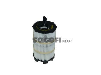 Volkswagen POLO Engine oil filter 10900111 FRAM CH11079ECO online buy