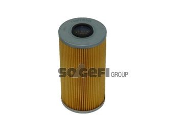 BMW 1 Series Oil filters 10901480 FRAM CH5565 online buy