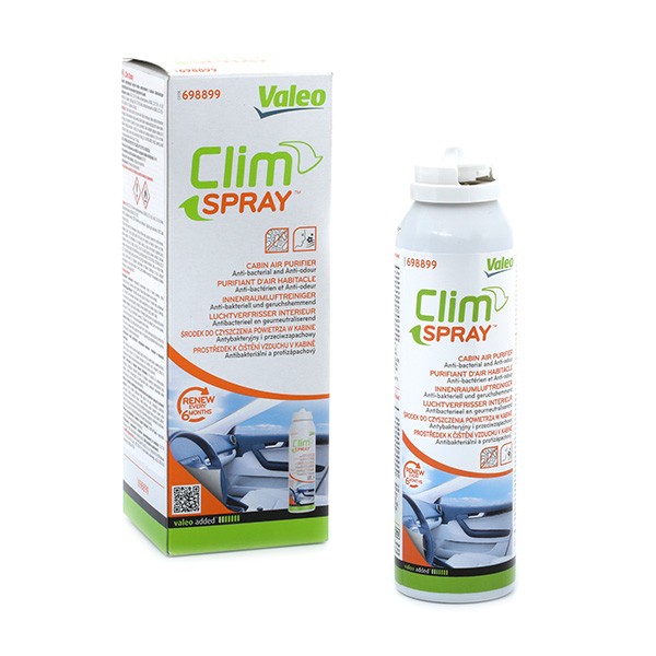 VALEO Spray de désinfection pour Climatisations 698899