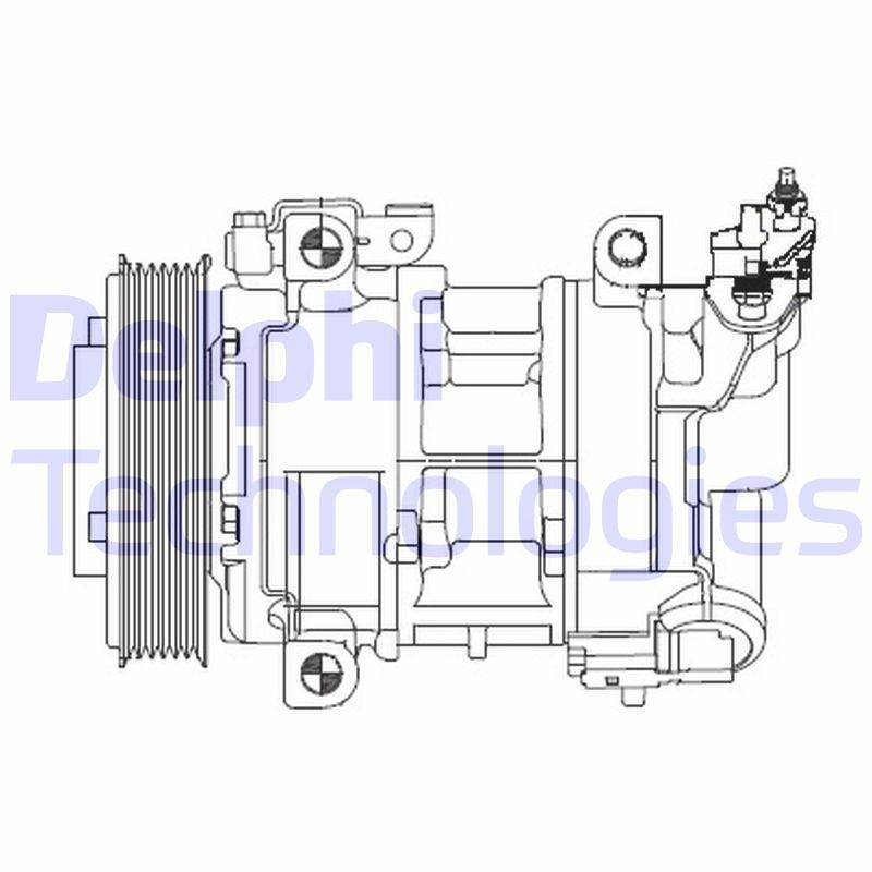 DELPHI CS20325 Air conditioning compressor DENSO 6SEL12C, PAG 46, with PAG compressor oil