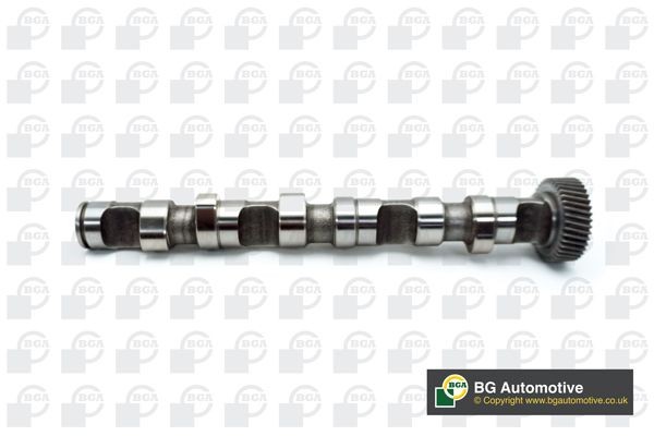 Audi A6 Camshaft kit 10945314 BGA CS3594 online buy