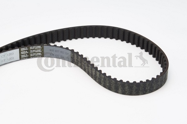 Opel MERIVA Toothed belt 10958094 CONTITECH CT1203 online buy