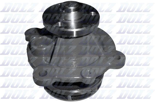 DOLZ D301 Water pump 21247955