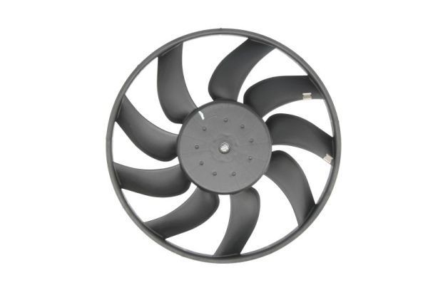 THERMOTEC D8X021TT Fan, radiator 1341362