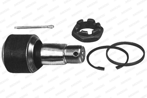 MOOG DF-RK-9341 Repair Kit, guide strut 1208 073