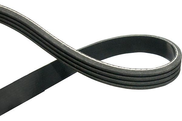 BMW X1 V-ribbed belt 11024911 KAVO PARTS DMV-1510 online buy