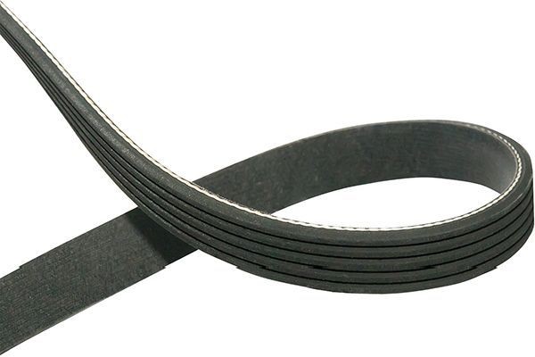 V-ribbed belt KAVO PARTS 938mm, 5 - DMV-2026