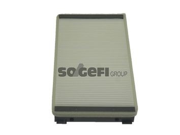 SIP1625 TECNOCAR E306 Pollen filter 9616429380