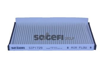 SIP1729 TECNOCAR Pollen Filter, 248 mm x 172 mm x 20 mm Width: 172mm, Height: 20mm, Length: 248mm Cabin filter E479 buy