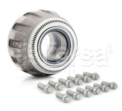 Fersa Bearings F300001 Wheel bearing kit 100 167 600