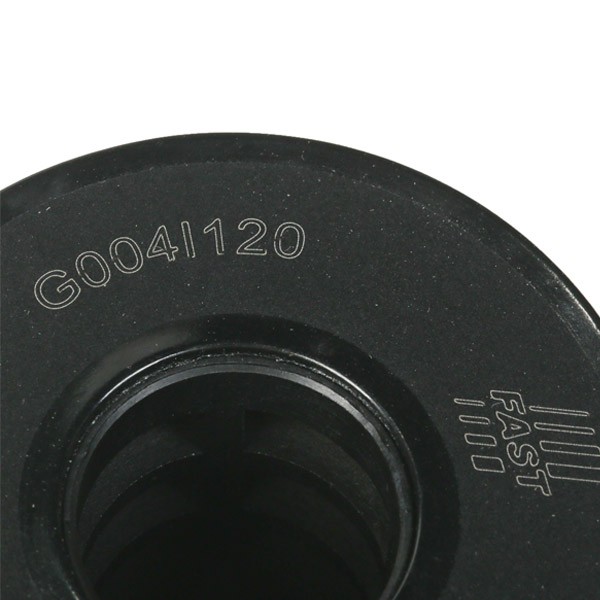 FT38060 Oil filter FT38060 FAST Filter Insert
