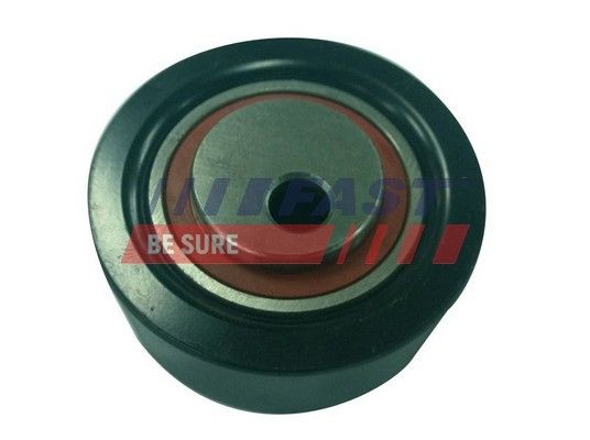 FAST FT44529 Tensioner pulley 4916066G00000
