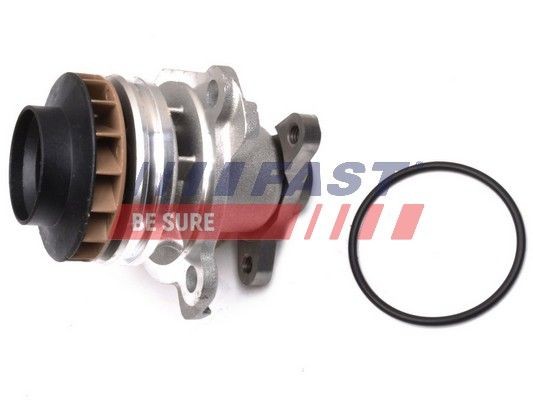 FAST FT57181 Water pump 44 16 949