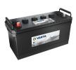 AGM 100Ah Batterie - 600035060A742