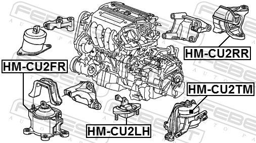 FEBEST Motor mount HM-CU2RR for HONDA ACCORD