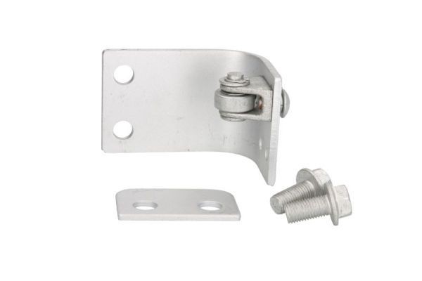 PACOL IVE-DH-002L Door Hinge IVECO experience and price