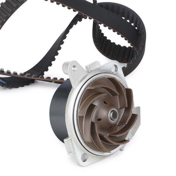 KD086 Timing belt and water pump kit S210 DOLZ Number of Teeth: 163, Width: 24,0 mm
