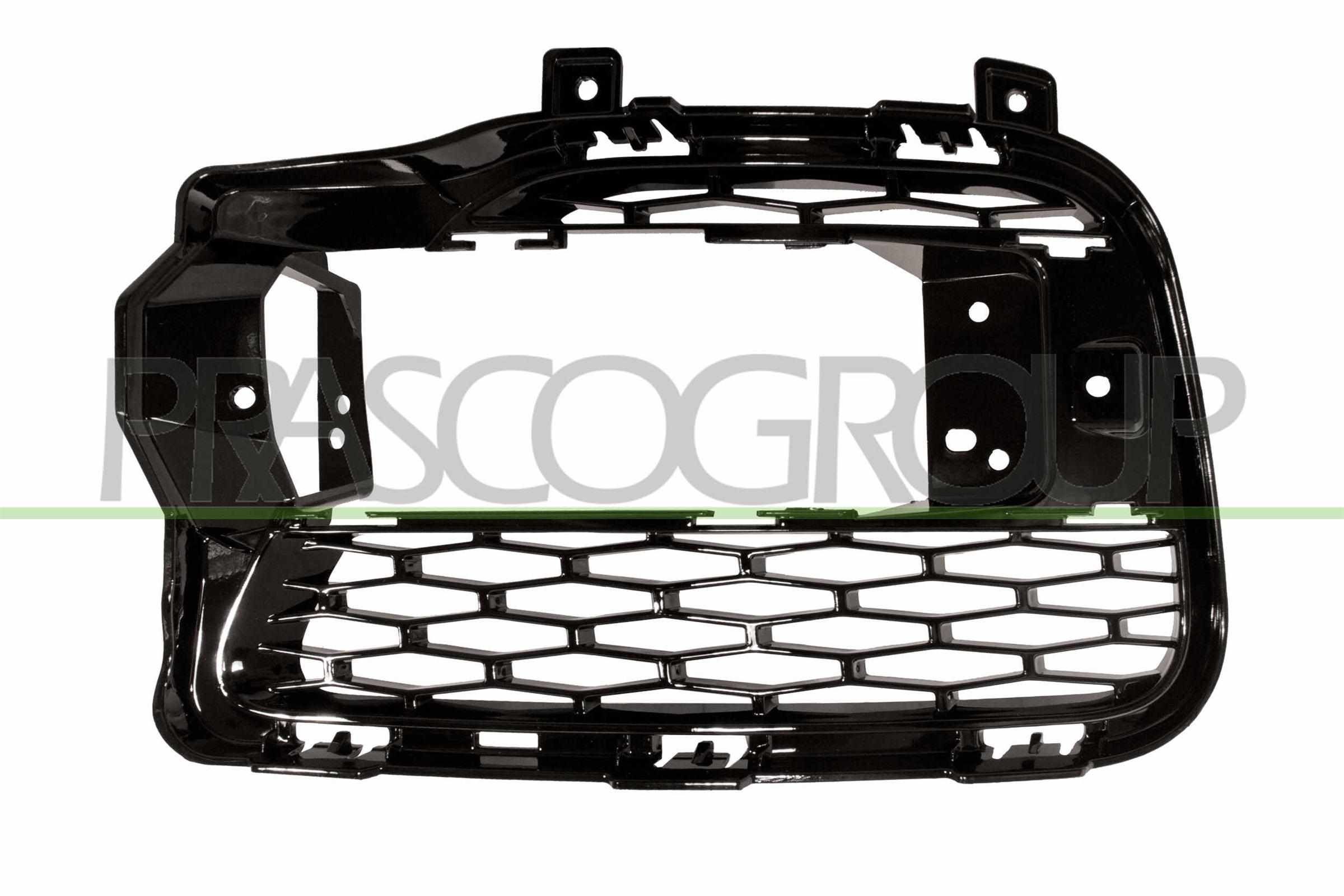 Land Rover Griglia di ventilazione paraurti PRASCO LR8042123 a un prezzo conveniente