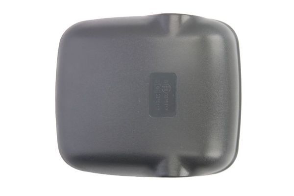 PACOL MAN-MR-043R Cover, outside mirror 81.63732.0066