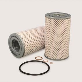 DONALDSON P554925 Oil filter MERCEDES-BENZ experience and price