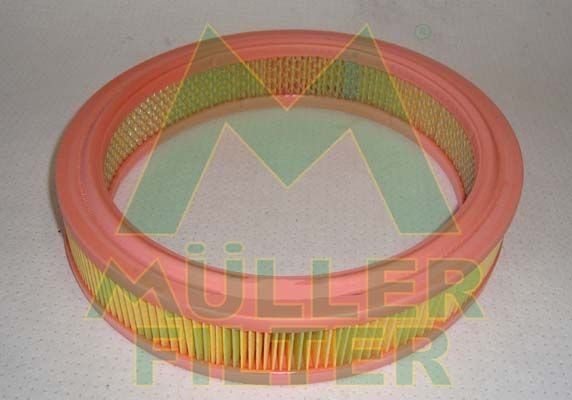 MULLER FILTER PA174 Air filter 4434951
