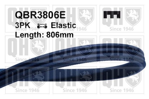 3PK806 ELASTIC QUINTON HAZELL 806mm, 3, Elastic Number of ribs: 3, Length: 806mm Alternator belt QBR3806E buy