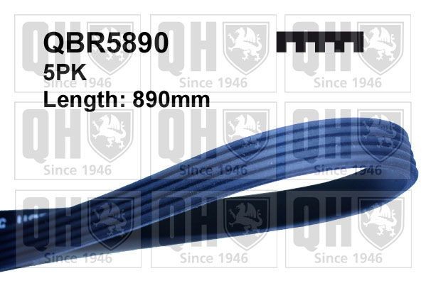 Subaru SVX Serpentine belt QUINTON HAZELL QBR5890 cheap