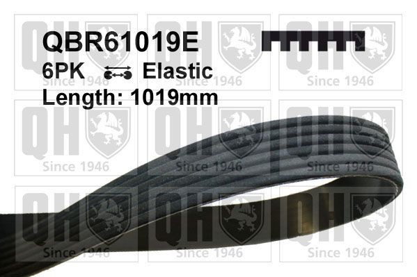 6PK1019 ELASTIC QUINTON HAZELL 1019mm, 6, Elastic Number of ribs: 6, Length: 1019mm Alternator belt QBR61019E buy