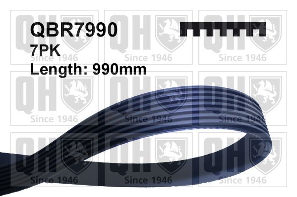 7PK987 QUINTON HAZELL 990mm, 7 Number of ribs: 7, Length: 990mm Alternator belt QBR7990 buy