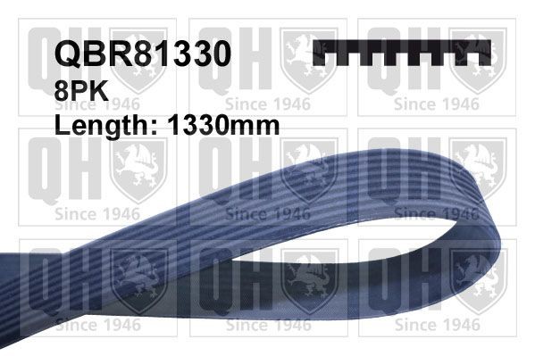 8PK1327 QUINTON HAZELL 1330mm, 8 Number of ribs: 8, Length: 1330mm Alternator belt QBR81330 buy