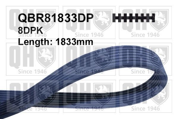 8PK1830 DP QUINTON HAZELL 1833mm, 8 Number of ribs: 8, Length: 1833mm Alternator belt QBR81833DP buy