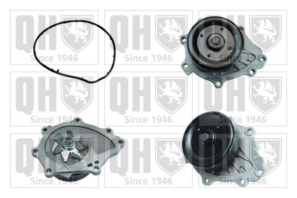 QUINTON HAZELL QCP3668 Water pump LEXUS experience and price