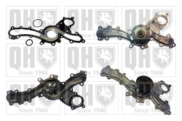 QUINTON HAZELL QCP3684 Water pump LEXUS experience and price