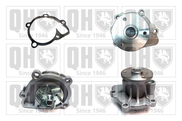QUINTON HAZELL QCP3706 Water pump HYUNDAI experience and price