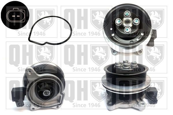 QUINTON HAZELL QCP3716 Water pump SKODA experience and price